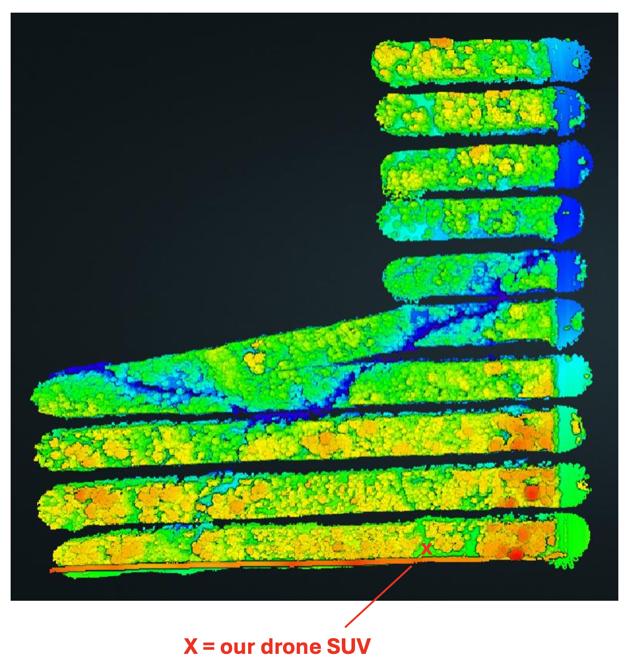 LiDAR color scan of search area showing terrain through tree canopy